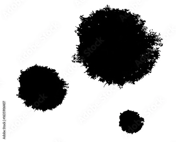 Fototapeta Vector art of three abstract black ink splashes and brush strokes isolated on transparent background