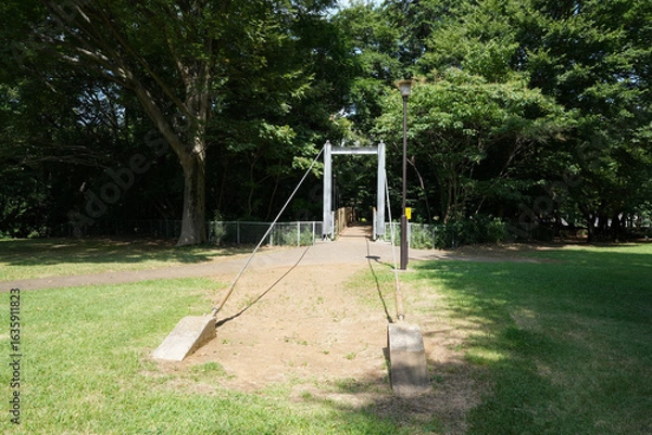 Obraz 砧公園のつり橋
