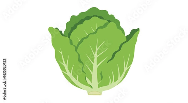 Fototapeta Crisp iceberg lettuce. Fresh, green leaves with distinct veins. Healthy and refreshing