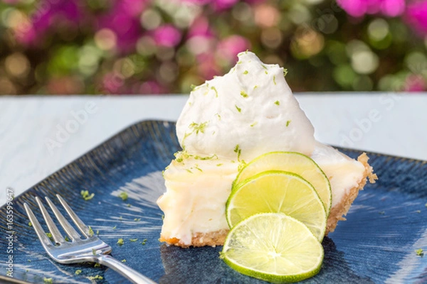 Obraz Key Lime Pie