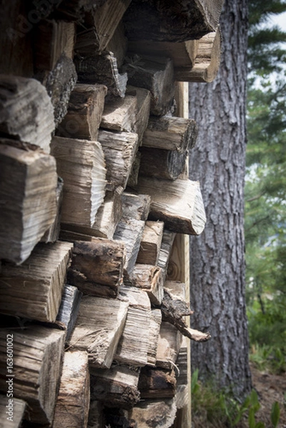 Obraz A bundle of chopped firewood