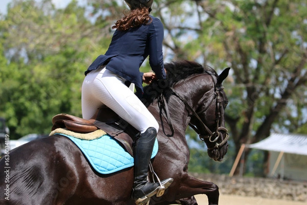 Obraz competitive equestrian sport
