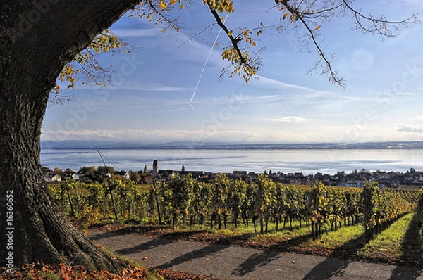 Obraz Aussicht auf den Bodensee