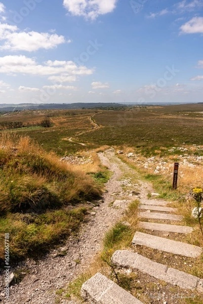 Obraz Far ouest français