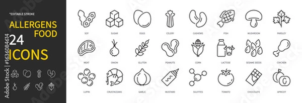 Fototapeta Allergens food icon set. Soy, sugar, eggs, celery, fish, meat, onion, gluten, lactose, sesame seeds, chicken, lupin, crustaceans, mustard, sulfites, tomato, etc. Vector illustration. Editable stroke.