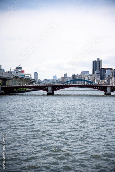 Obraz 隅田川の橋と東京の空