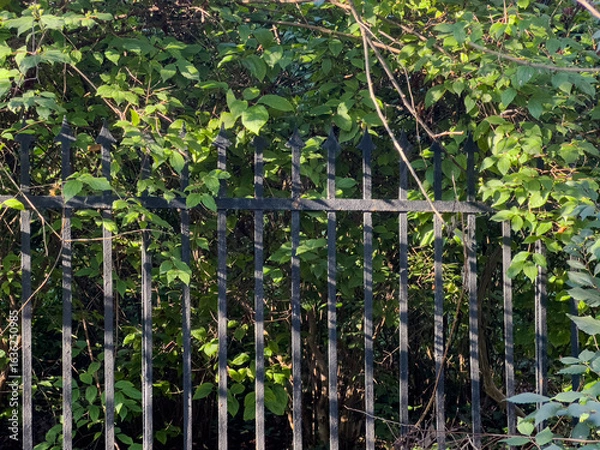 Obraz Alter Metallzaun 