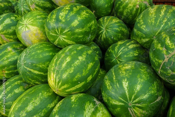 Obraz Watermelons