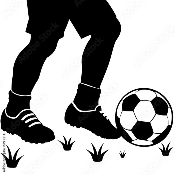 Fototapeta Soccer player kicking ball in field silhouette vector illustration