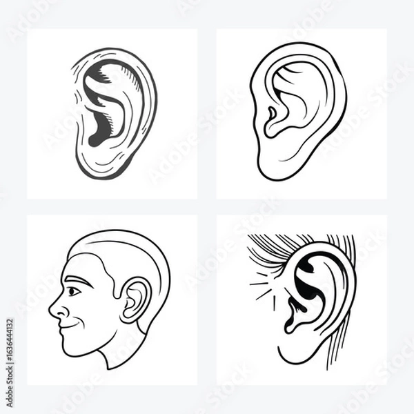 Obraz human ear vector art design