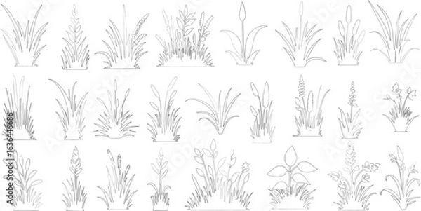 Fototapeta Plant elevation line silhouettes outline - grass, shrub, tree big set vector, grass line cad and silhouettes isolated on white background.