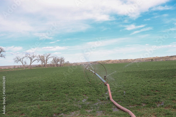 Fototapeta wheel lines