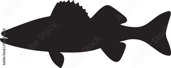 Obraz black shark vector illustration