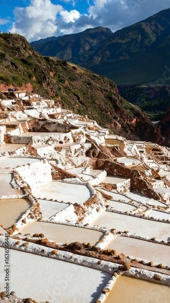 Obraz Salt flats landscape with mountains
