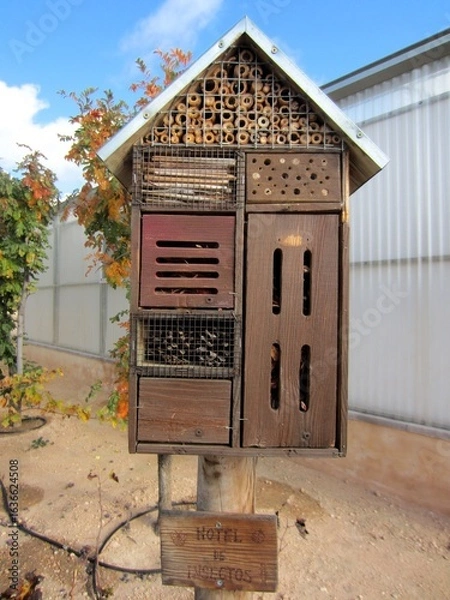 Obraz insect hotel