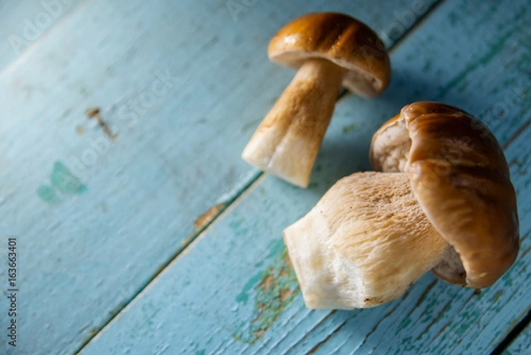 Fototapeta Cep mushrooms on a white background