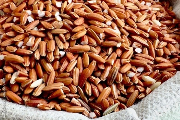 Fototapeta Brown rice grains with the outer husk partially removed, the rice grains are a dark reddish brown in color, some grains have small cracks or chips, revealing the white starch inside.