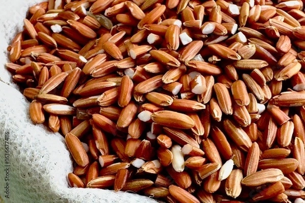 Fototapeta Brown rice grains with the outer husk partially removed, the rice grains are a dark reddish brown in color, some grains have small cracks or chips, revealing the white starch inside.