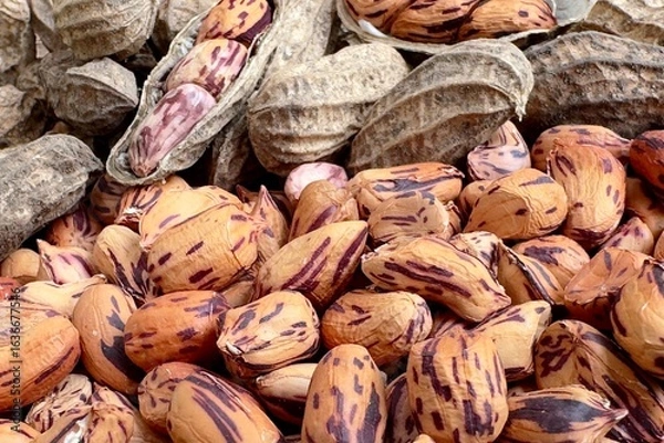 Fototapeta Tiger striped peanuts are available only in Thailand, both with and without shells, and are light brown in color with a wrinkled texture. Peanuts with shells have a distinctive pattern on the inside.