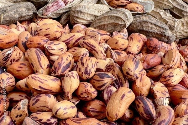 Fototapeta Tiger striped peanuts are available only in Thailand, both with and without shells, and are light brown in color with a wrinkled texture. Peanuts with shells have a distinctive pattern on the inside.