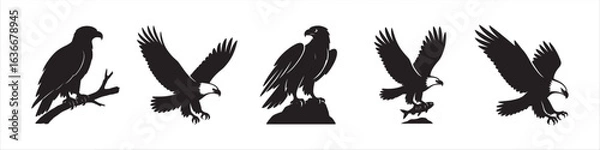 Fototapeta Bald Eagle Silhouette Bundle with Perched, Flying, Swooping, Rock Standing, and Hunting Poses Vector Images on White Background
