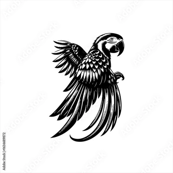 Fototapeta Parrot with wings spread