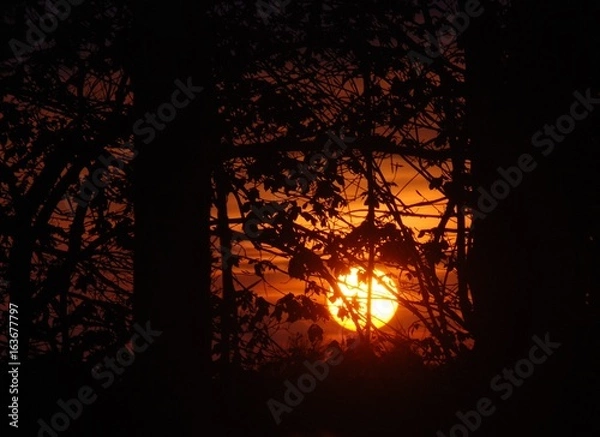 Obraz Coucher de soleil