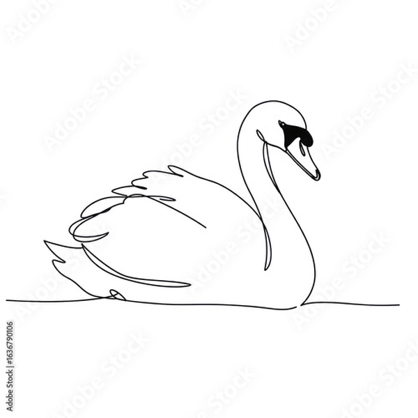 Fototapeta swan, minimalistic linear drawing, simple black and white contour illustration, vector, isolated, clean design, modern minimal contour sketch for posters, prints and decor