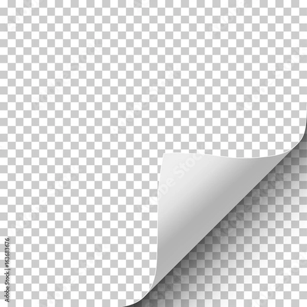 Obraz Arkusz przezroczystego papieru z zawiniętym rogiem i delikatnym cieniem. Element z miejscem na tekst, reklamę i inne cele. Szablon projektu papieru. Ilustracji wektorowych.