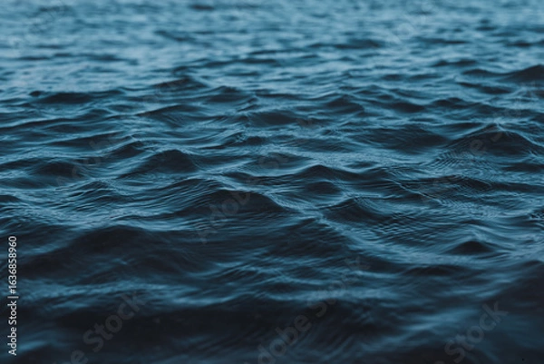 Obraz sea wave texture close up