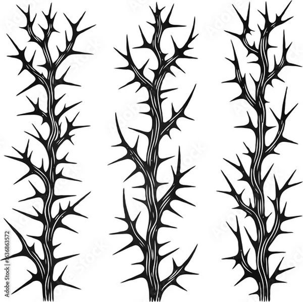 Fototapeta Detailed line art of twigs and thorns vine stems illustration. Outline Simple Stylized plants. Set of branches, leaves. Seamless doodle floral pattern. Hand drawn Botanical drawing, frieze. 