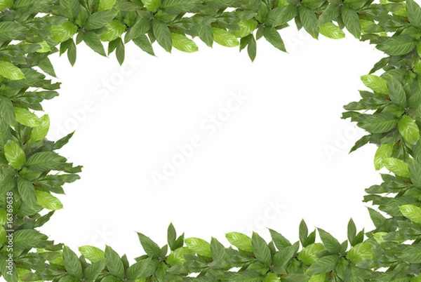 Fototapeta leaves background