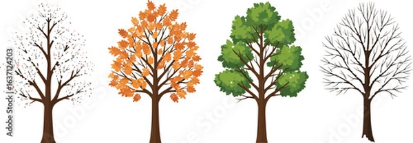 Obraz Vector art of four seasons trees illustration isolated on white background