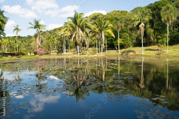 Fototapeta Lake Landscape View