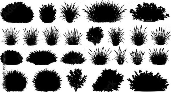 Fototapeta set of bush grass shrub herb silhouette vector transparent background
