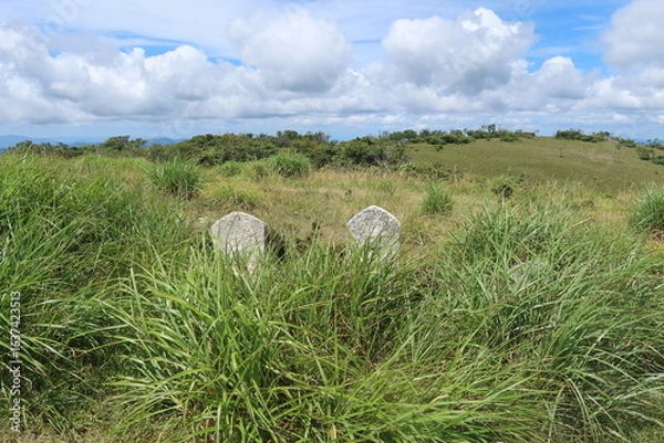 Obraz 蓬莱山の風景
