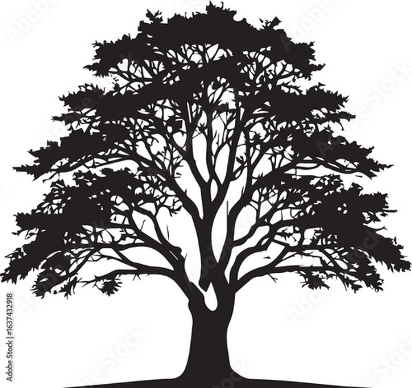 Fototapeta tree silhouette Vector | Minimalist & Trendy tree Silhouette Design | Unique & Stylish tree Artwork for Vector design