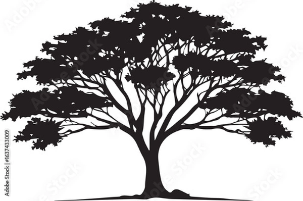 Fototapeta tree silhouette Vector | Minimalist & Trendy tree Silhouette Design | Unique & Stylish tree Artwork for Vector design