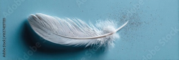 Fototapeta A single white feather rests on a light teal surface, dotted with specks of dark matter