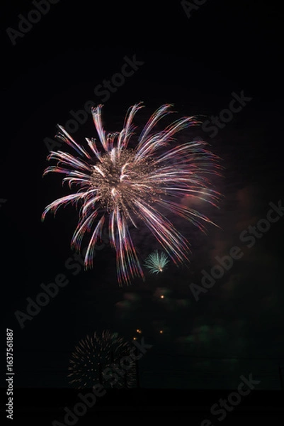 Fototapeta 夜空に咲く大輪の花