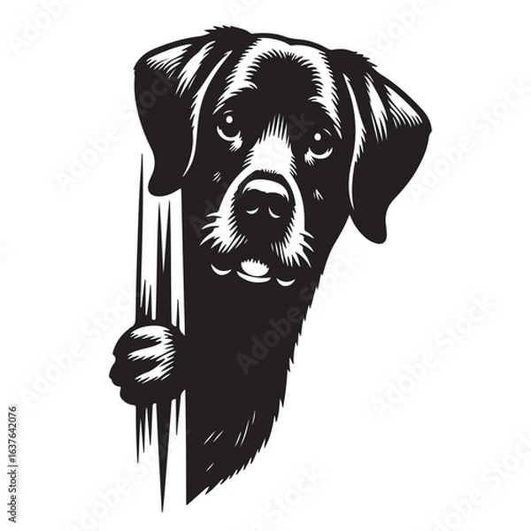 Fototapeta Vector silhouette of  dog on white backgroud.