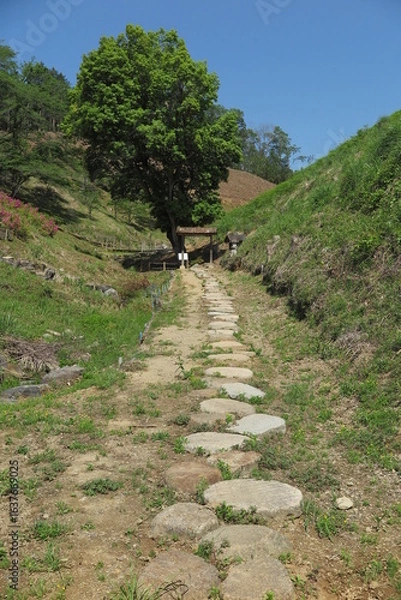 Fototapeta 山と木と石の歩道の風景1