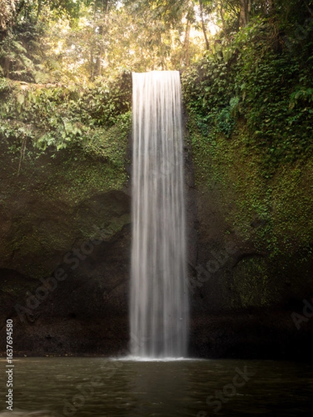 Obraz Tropical Bali Waterfall in Lush Rainforest 