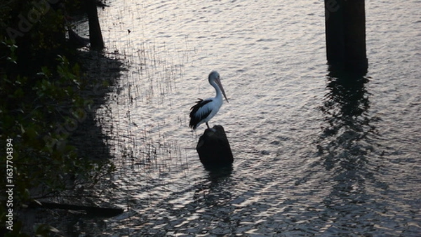 Obraz Bundaberg ,Australia