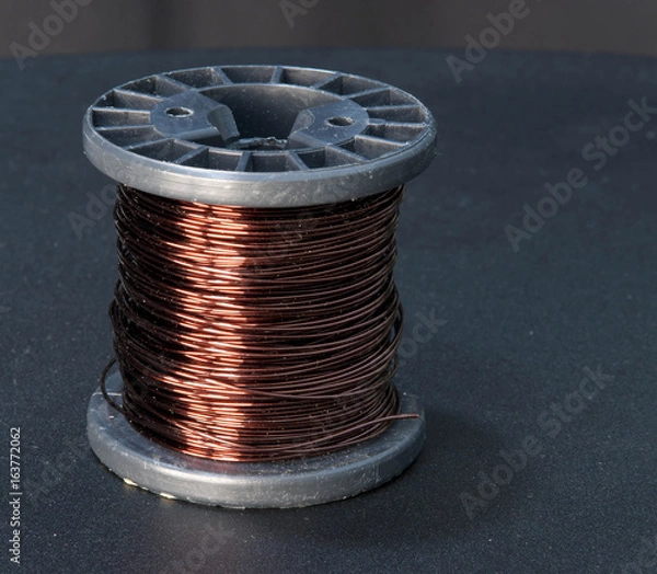 Obraz Coil wire