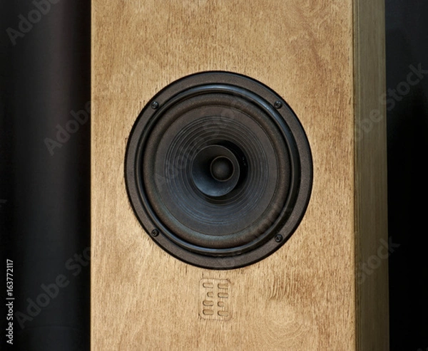 Fototapeta Speaker