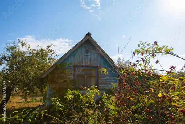 Fototapeta A small wooden village country house with a triangular roof. An old hut with a garden plot.