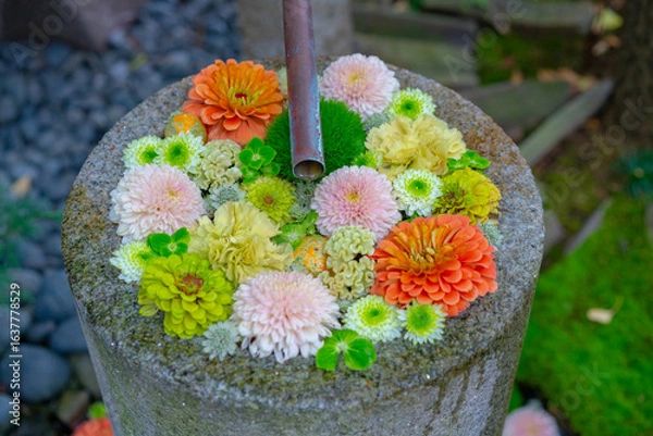 Fototapeta 花手水と和の心