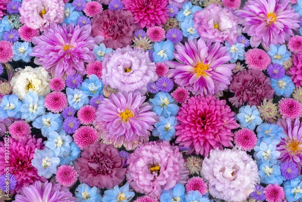 Obraz 彩り豊かな花手水