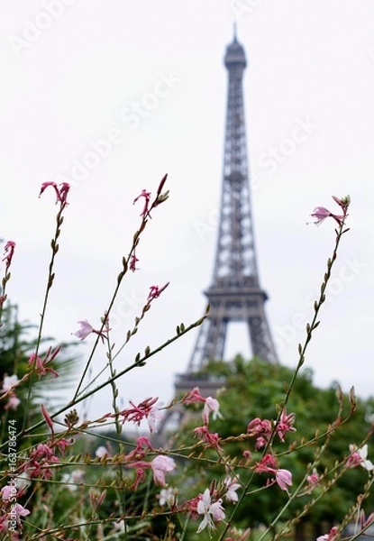 Fototapeta Tour Eiffel